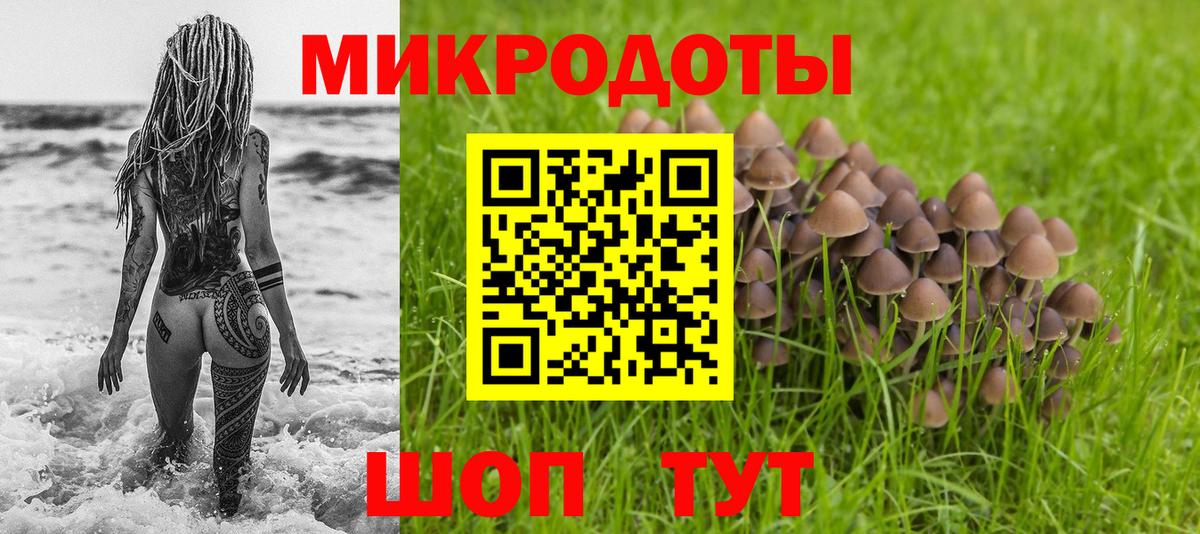 Псилоцибиновые грибы Psilocybine cubensis Верхний Уфалей